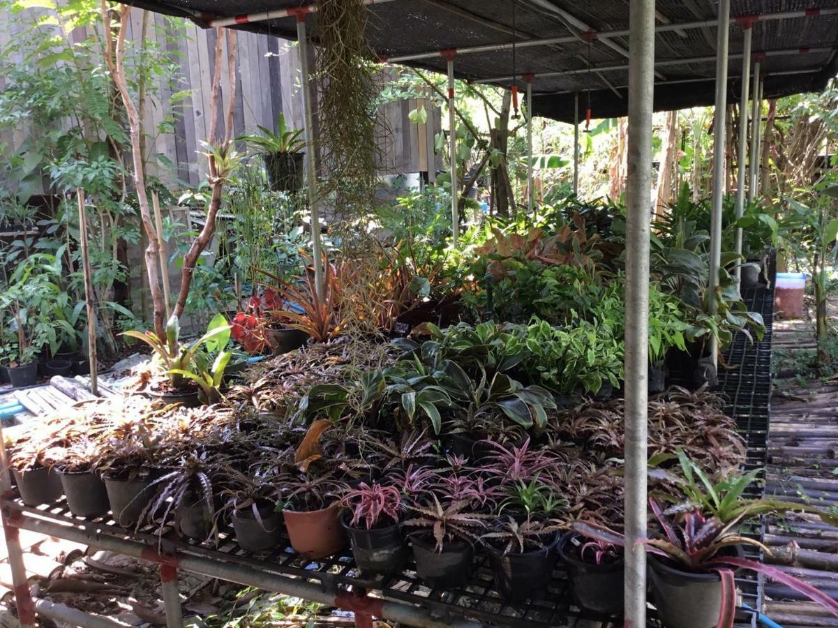 Rustic​ Charm​ Suphan​ Ban Tha Pong Eksteriør bilde
